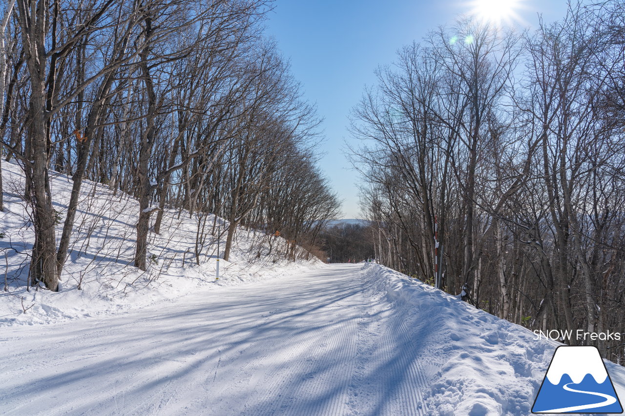 札幌藻岩山スキー場｜本日、雲一つ無い快晴！札幌藻岩山の全10コースの滑走にチャレンジ(^^)/